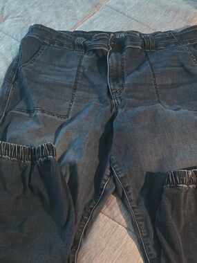torrid Dark Blue Denim Pants